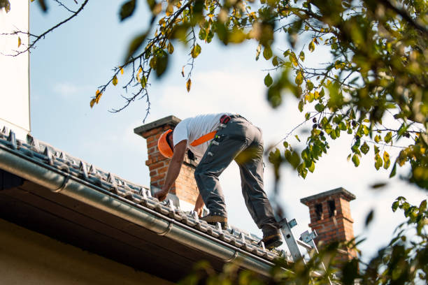 Best Green or Eco-Friendly Roofing Solutions  in Clay, KY
